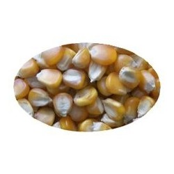 MAIZ GRANO 30 Kg.saco