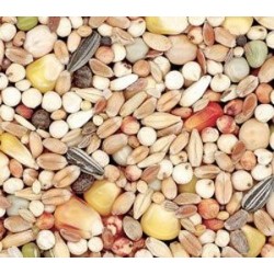 DAPAC PALOMAS CON MAIZ