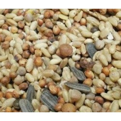 Dapac Palomas Sin Maiz