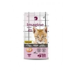 Imagine Cat Kitten 2 Kg