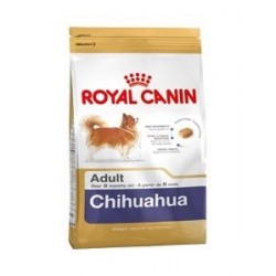 RYC Chihuahua Adulto 1,5 Kg.