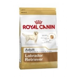 RYC BHN Labrador Adulto 12+2 Kg.