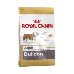 RYC BHN Bulldog 12 Kg.