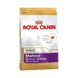 RYC Bichon Maltes Adulto 1,5 Kg.