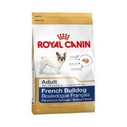RYC BHN Bulldog Frances Adulto 10 Kg.