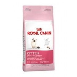 RYC FHN Kitten 2 Kg.