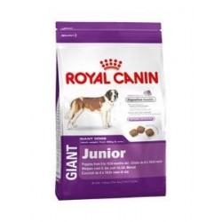 RYC SHN Giant Junior 15 Kg.