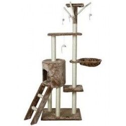 RASCADOR TREPADOR FIDGI DAPAC