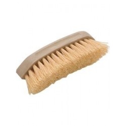 CEPILLO CABALLO ANATOMICO ESPANS