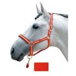 CABEZADA CUADRA NYLON PONY ROJO