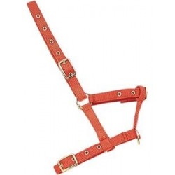 CABEZADA CUADRA NYLON POTRO ROJO