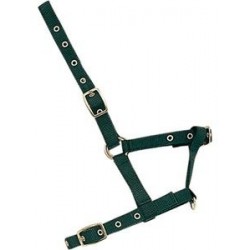 CABEZADA CUADRA NYLON POTRO VERDE