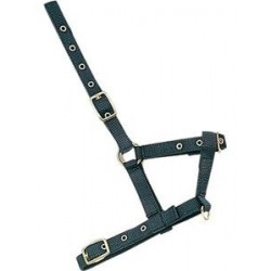 CABEZADA CUADRA NYLON POTRO AZUL