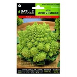 Broculi Romanesco Natalino