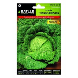 Col Millan 7 Semanas Temprana