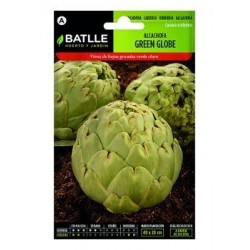 Alcachofa Green Globe