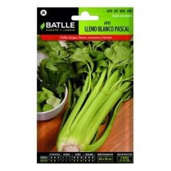 Apio Lleno Blanco Pascal
