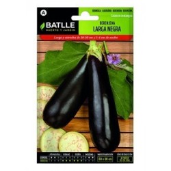 Berenjena Larga Negra