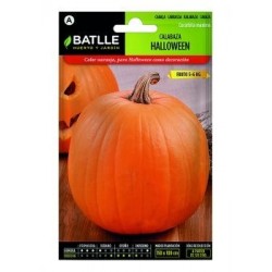 Calabaza Halloween