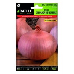 Cebolla Colorada De Figueras