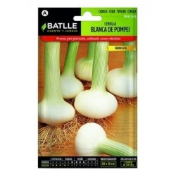 Cebolla Blanca De Pompei