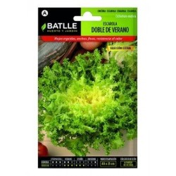 Escarola Doble De Verano