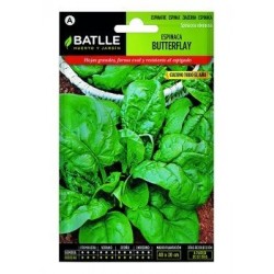 Espinaca Butterflay