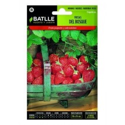 Fresas Del Bosque