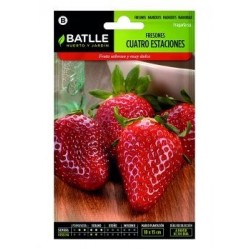 Fresones Cuatro Estaciones