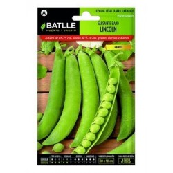 Guisante Bajo Lincoln