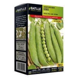 Guisante Medio Enrame Rondo