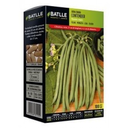 Judía Enana Contender