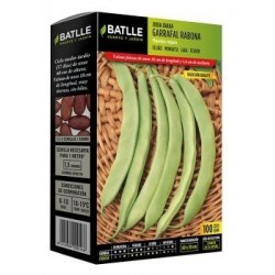 Judía Enana Garrafal Rabona