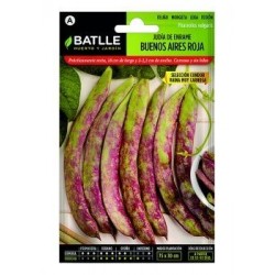 Judía De Enrame Buenos Aires Roja