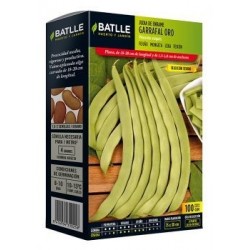 Judia De Enrame Garrafal Oro