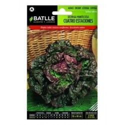 Lechuga Mantecosa Cuatro Estaciones