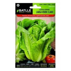 Lechuga Romana Verde Claro