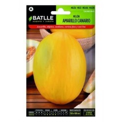 Melón Amarillo Canario
