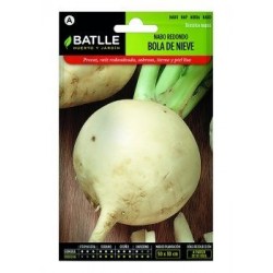 Nabo Redondo Bola De Nieve