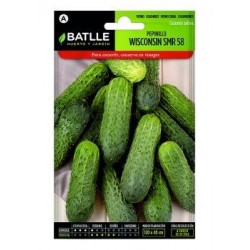 Pepinillo Wisconsin Smr 18