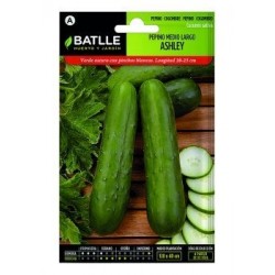 Pepino Ashley Medio Largo