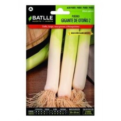 Puerro Gigante De Otoño 2