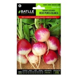 Rabanito Redondo Rojo Punta Blanca