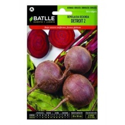 Remolacha Mesa Detroit 2