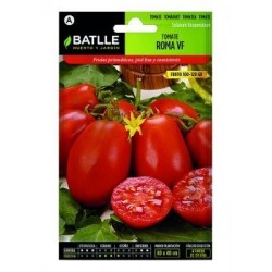 Tomate Roma Vf
