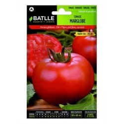 Tomate Marglobe