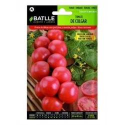 Tomate De Colgar