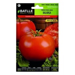 Tomate Balarga