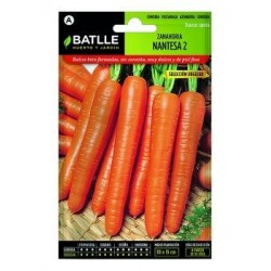 Zanahoria Nantesa 2