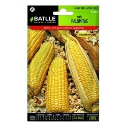 Maiz Palomitas Pop Corn